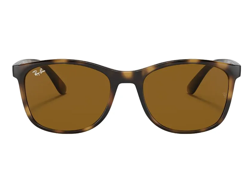 Unisex Ray Ban Sunglasses Rb4374 Havana Brown Sunnies